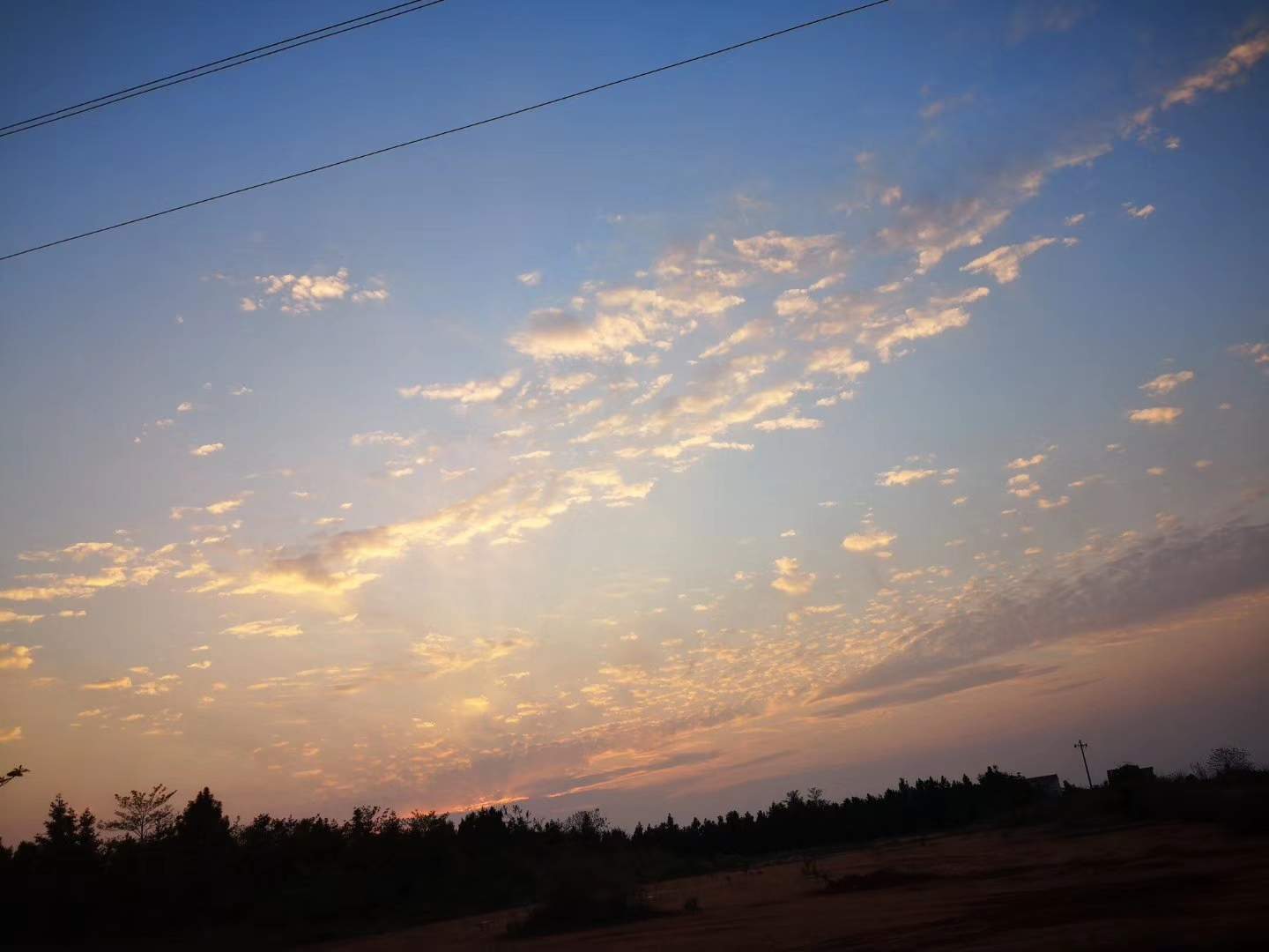 我的保险学习日志📖