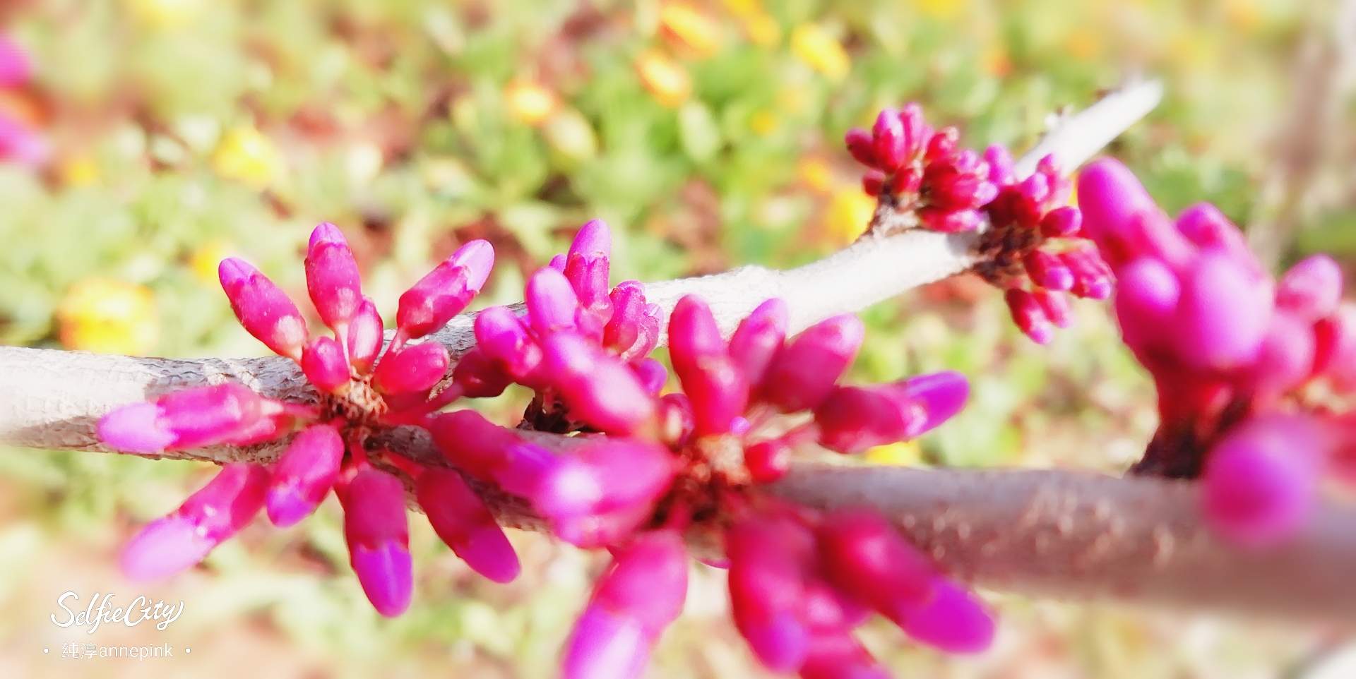 保险小知识💁早知道(6)