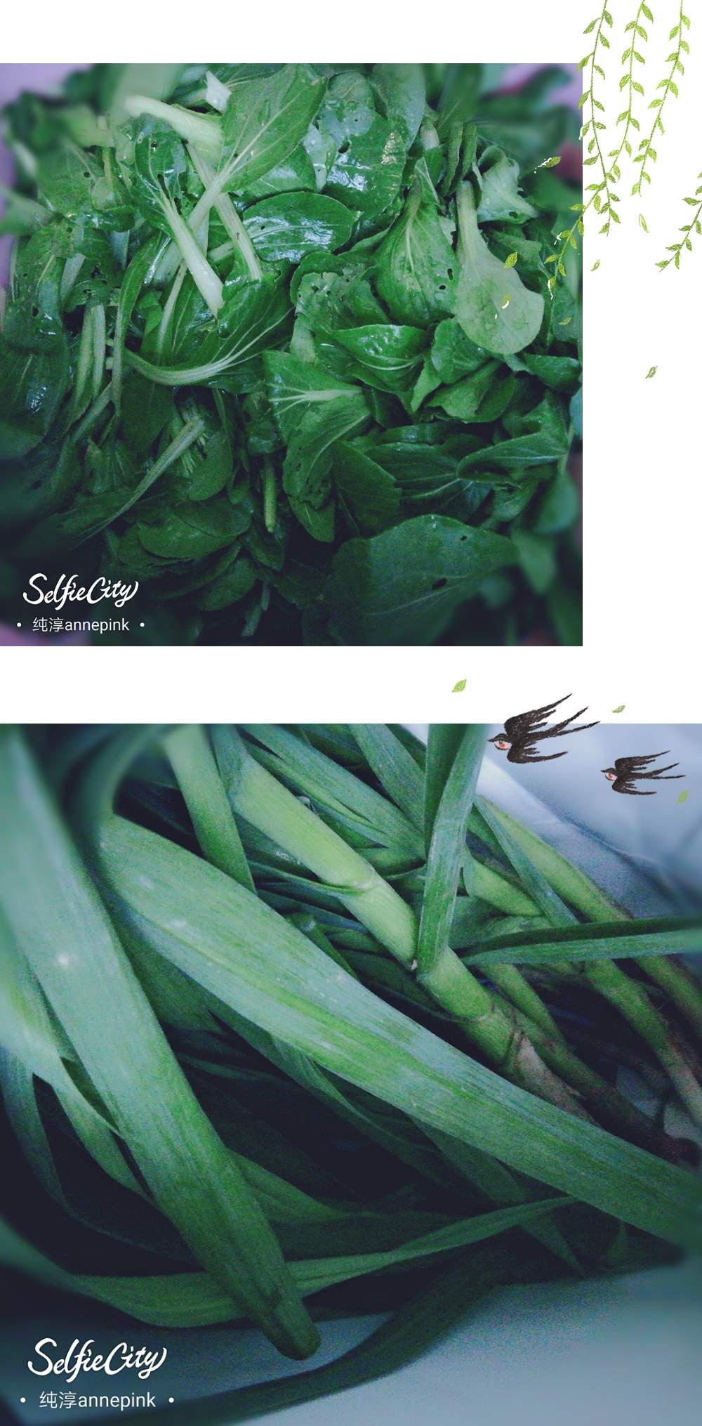 收到一笔爱哒巨款~💖