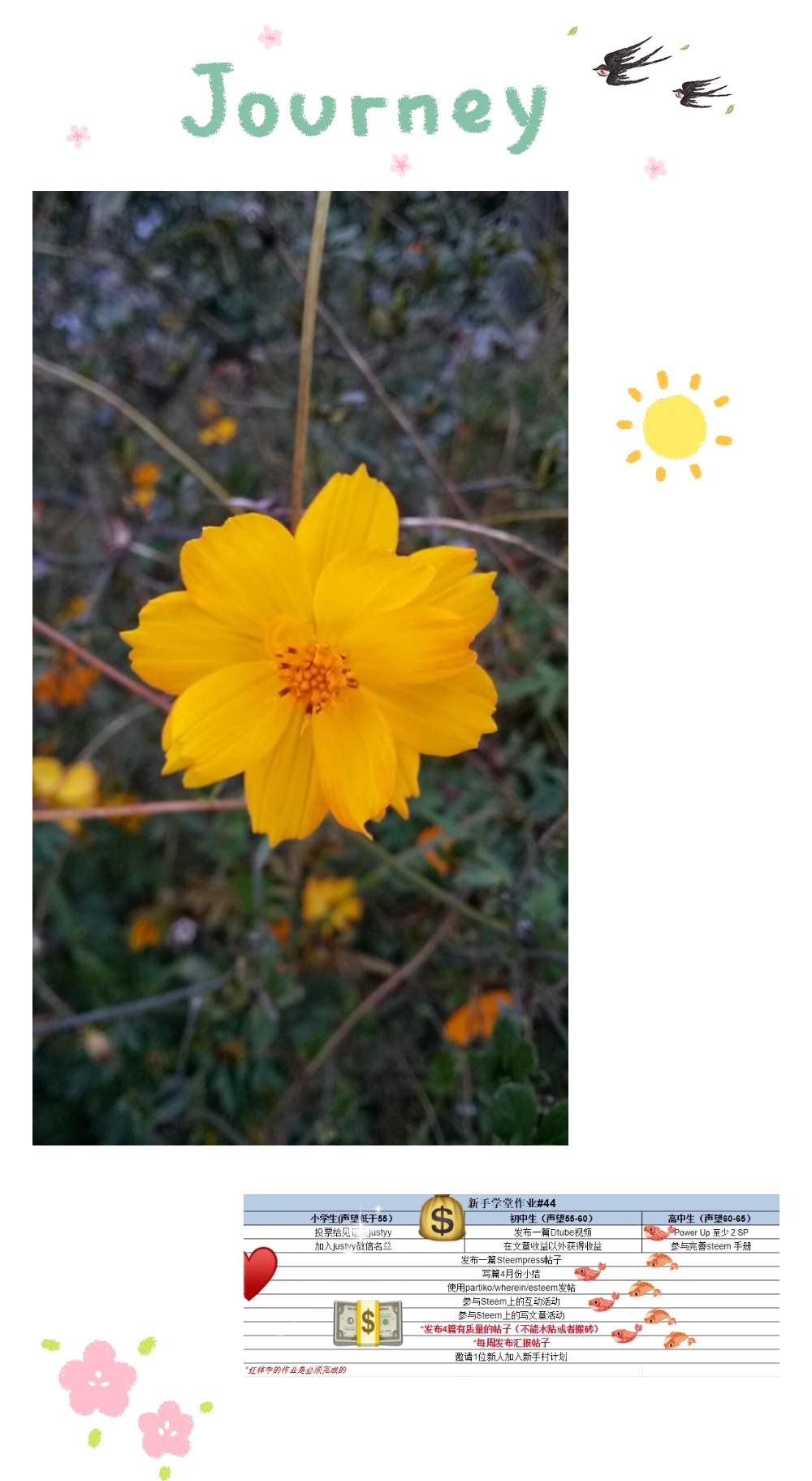 新手学堂作业#44｜annepink作业汇报🙋