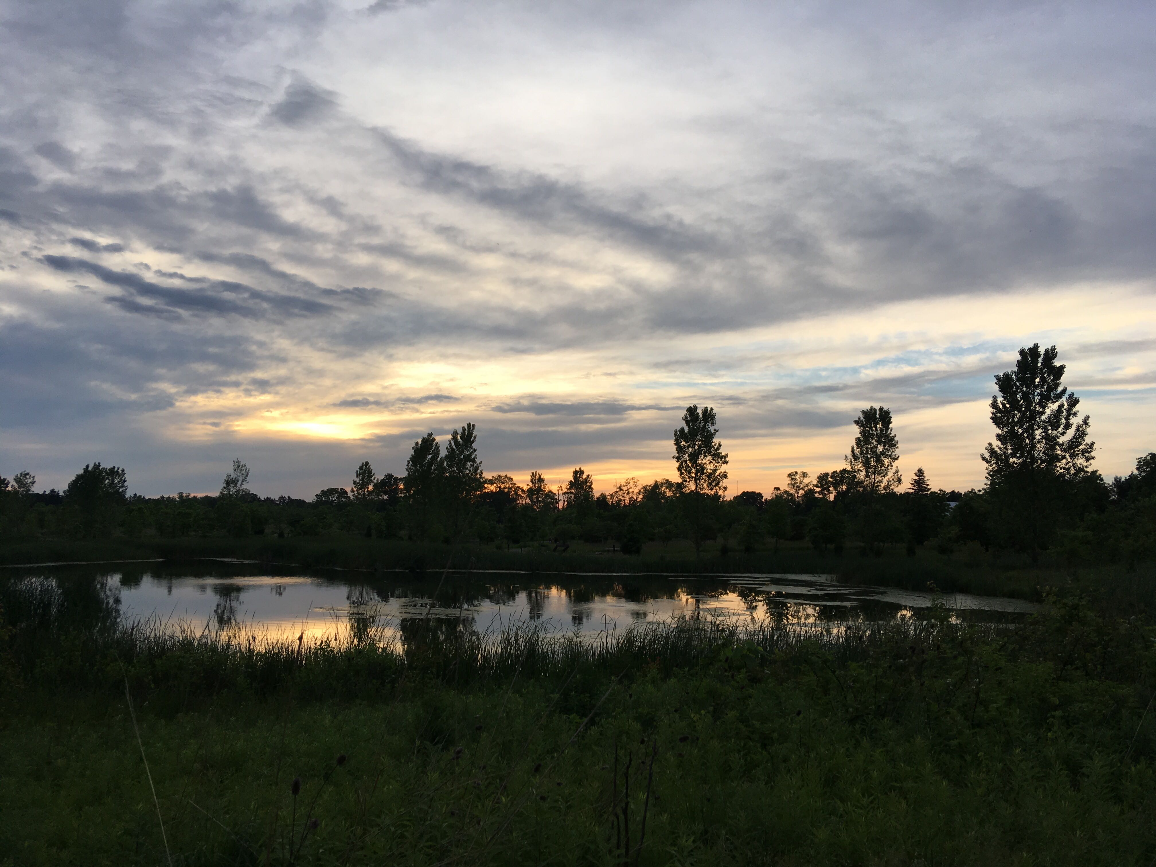 https://d1vof77qrk4l5q.cloudfront.net/img/conradsuperb-an-evening-walk-jgef8mjn-1559838336229.jpg
