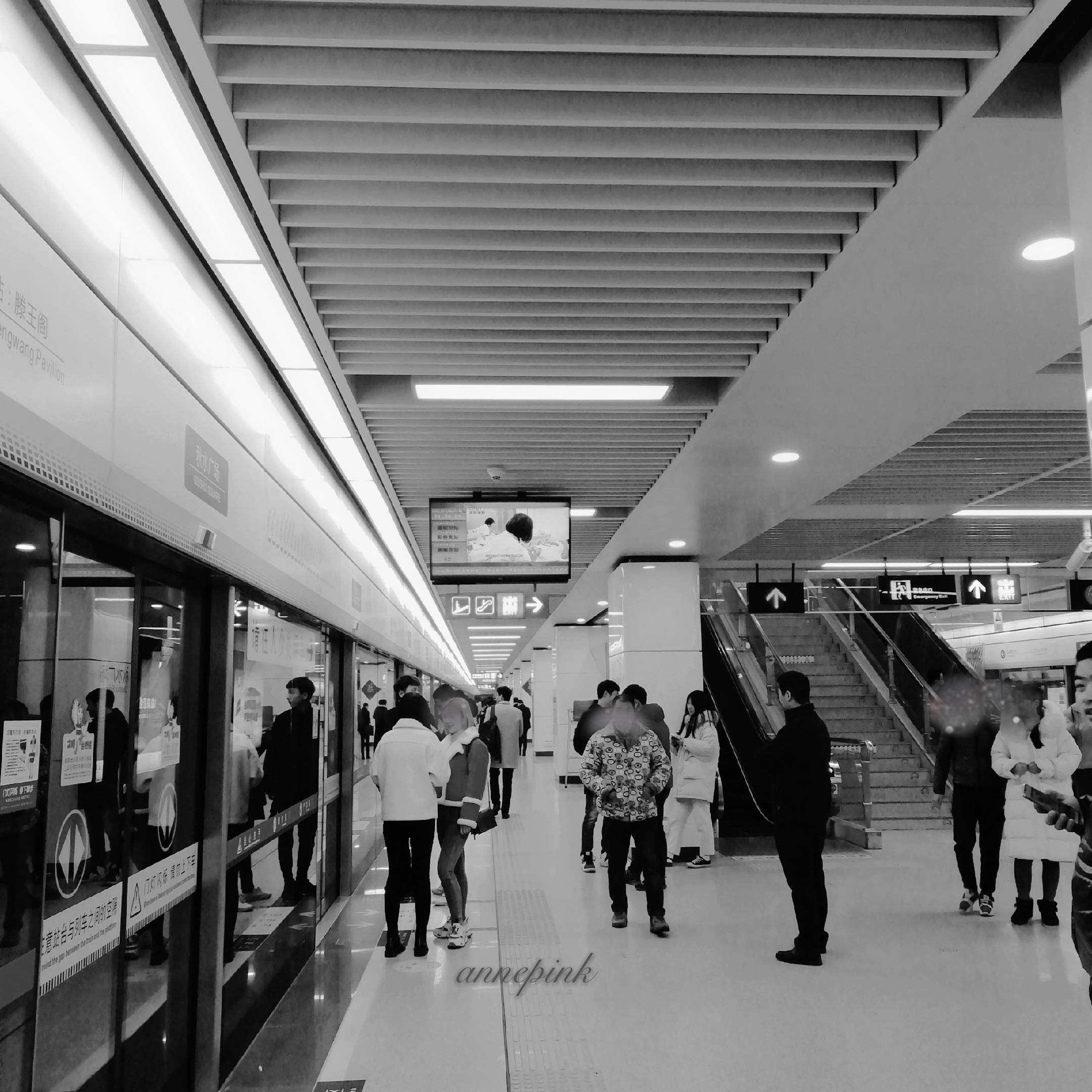 🚗保险小知识早知道(4)💁