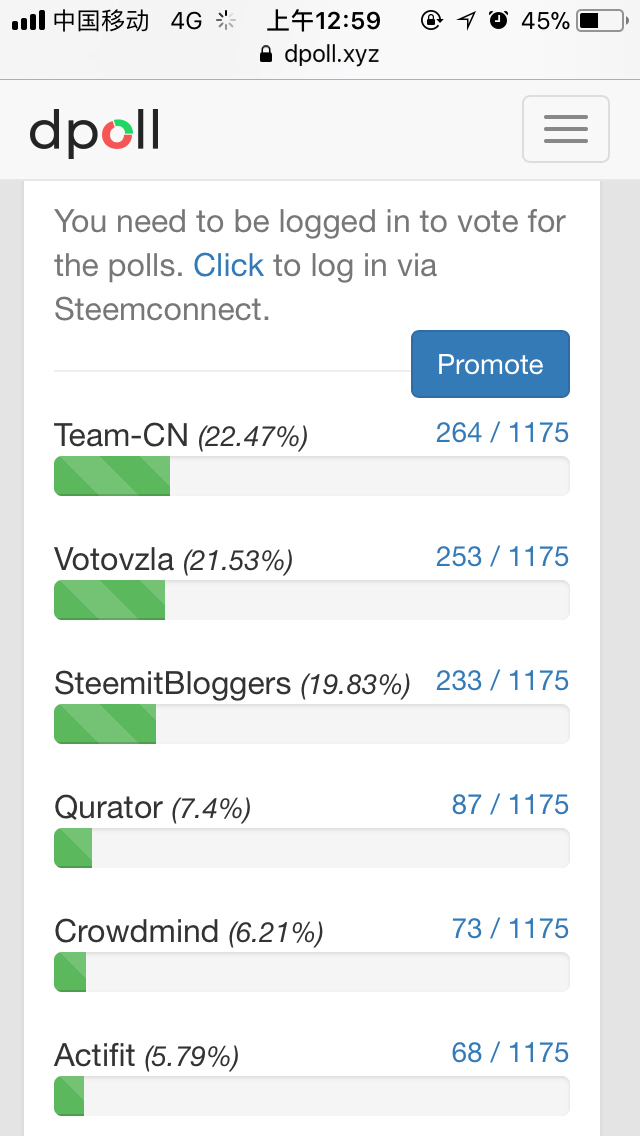 深夜支持一波Team-CN