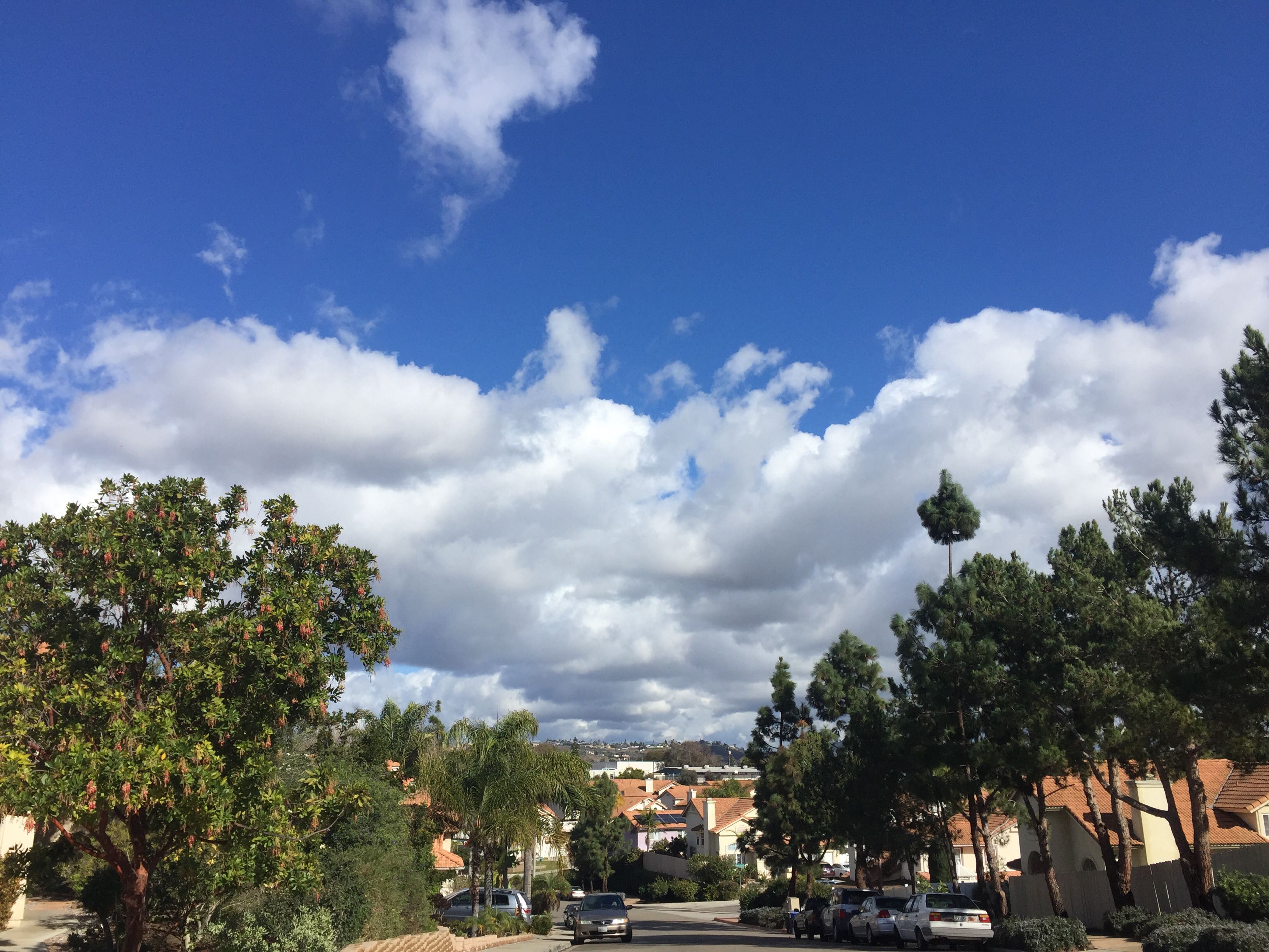 https://d1vof77qrk4l5q.cloudfront.net/img/mariannewest-after-the-rain-rzc7vk7i-1546820377540.jpg